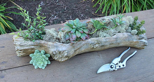 Cement Driftwood Log Planter — 21 Inch Rustic Farmhouse Floral Container-MX027931 Craig Bachman