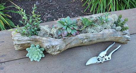 Cement Driftwood Log Planter — 21 Inch Rustic Farmhouse Floral Container-MX027931 Craig Bachman