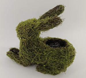 14x13" Moss-Covered Grapevine Rabbit Planter