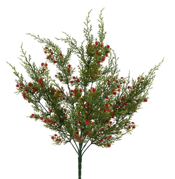 Oregon Juniper Berry Bush 21 Inch Christmas Greenery-XX994224 Craig Bachman