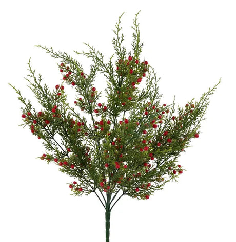 Oregon Juniper Berry Bush 21 Inch Christmas Greenery-XX994224 Craig Bachman