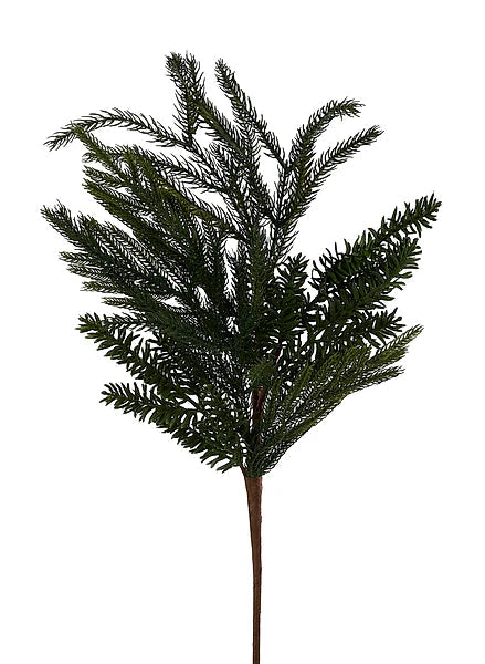 Noble Fir Norfolk Pine Spray | Natural Christmas Greenery Stem | 24" Spray-XX2602 Craig Bachman