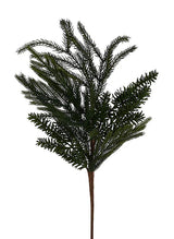 Noble Fir Norfolk Pine Spray | Natural Christmas Greenery Stem | 24" Spray-XX2602 Craig Bachman