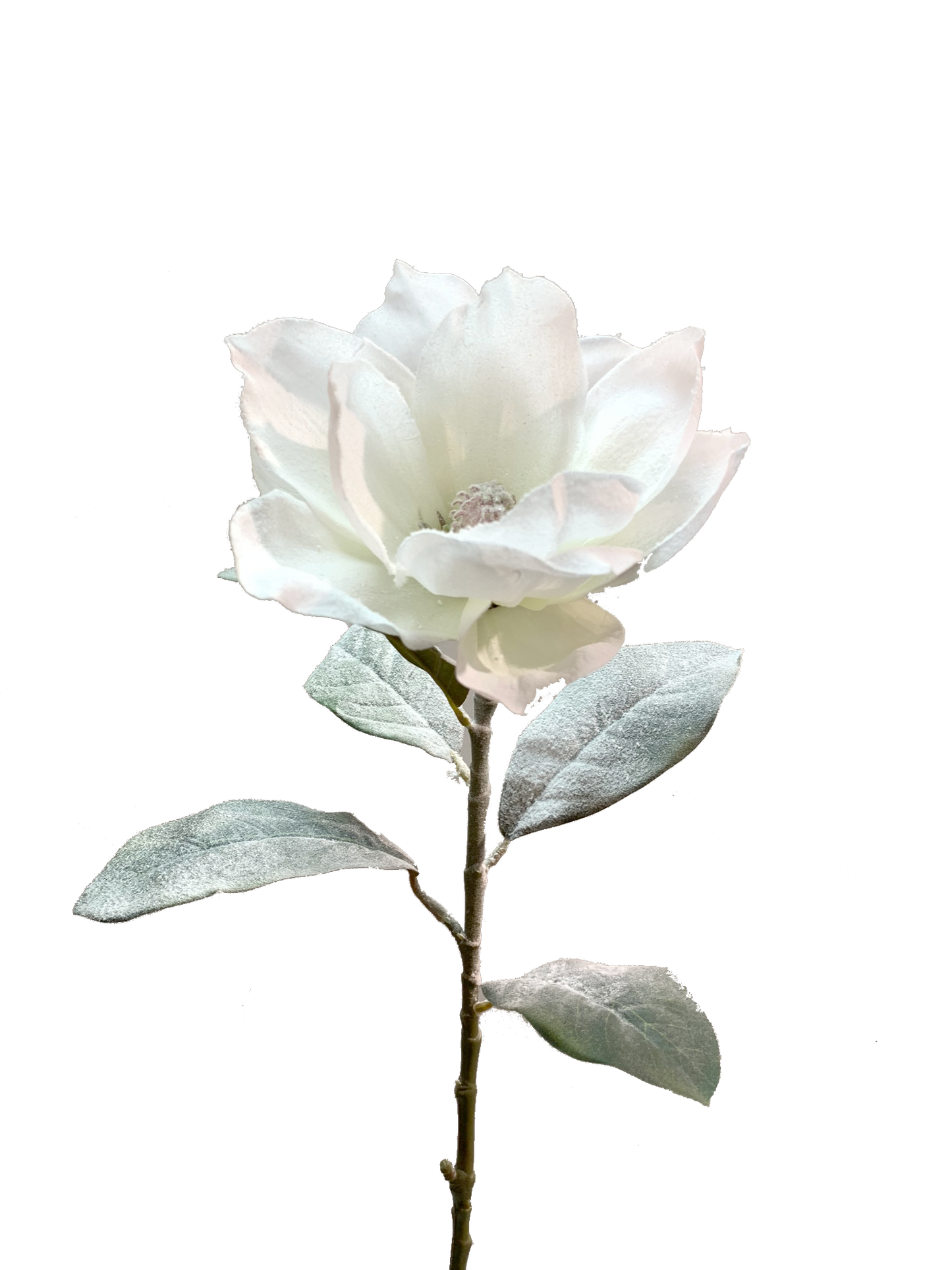 29" Snowy Artificial Magnolia Stem by TCT Crafts - Winter Floral Decor-White Christmas Magnolia Flower-83335WT Liberty Floral
