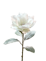29" Snowy Artificial Magnolia Stem by TCT Crafts - Winter Floral Decor-White Christmas Magnolia Flower-83335WT Liberty Floral