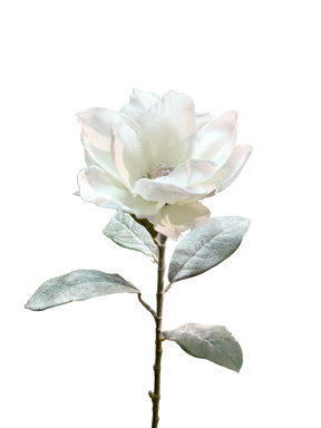 29" Snowy Artificial Magnolia Stem by TCT Crafts - Winter Floral Decor-White Christmas Magnolia Flower-83335WT Liberty Floral