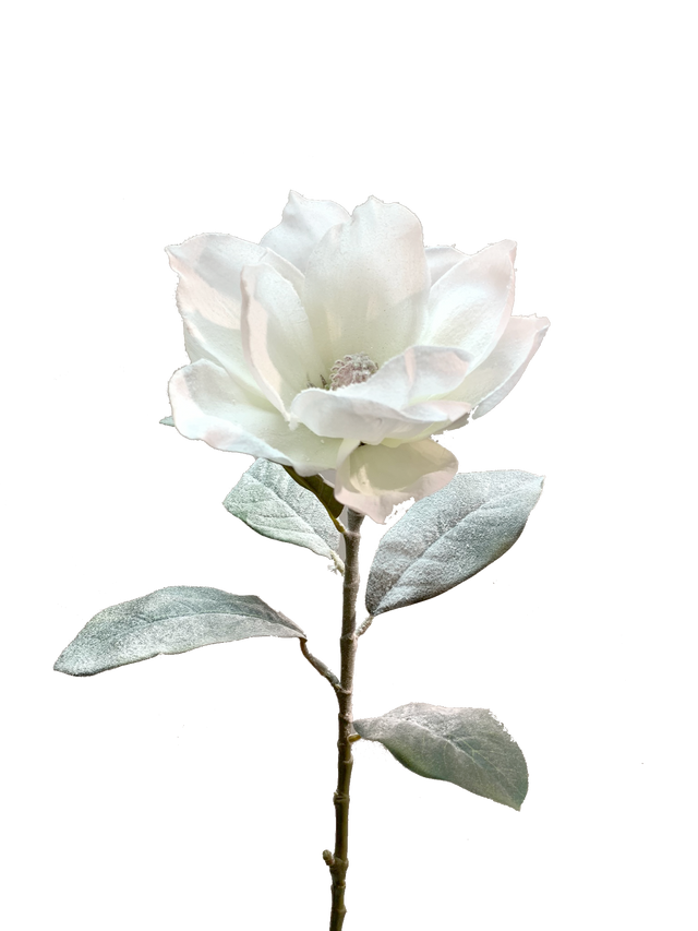 29" Snowy Artificial Magnolia Stem by TCT Crafts - Winter Floral Decor-White Christmas Magnolia Flower-83335WT Liberty Floral