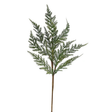 Arborvitae Greenery Spray | Structured Woodland Stem | 24" Spray-XX9434 Craig Bachman