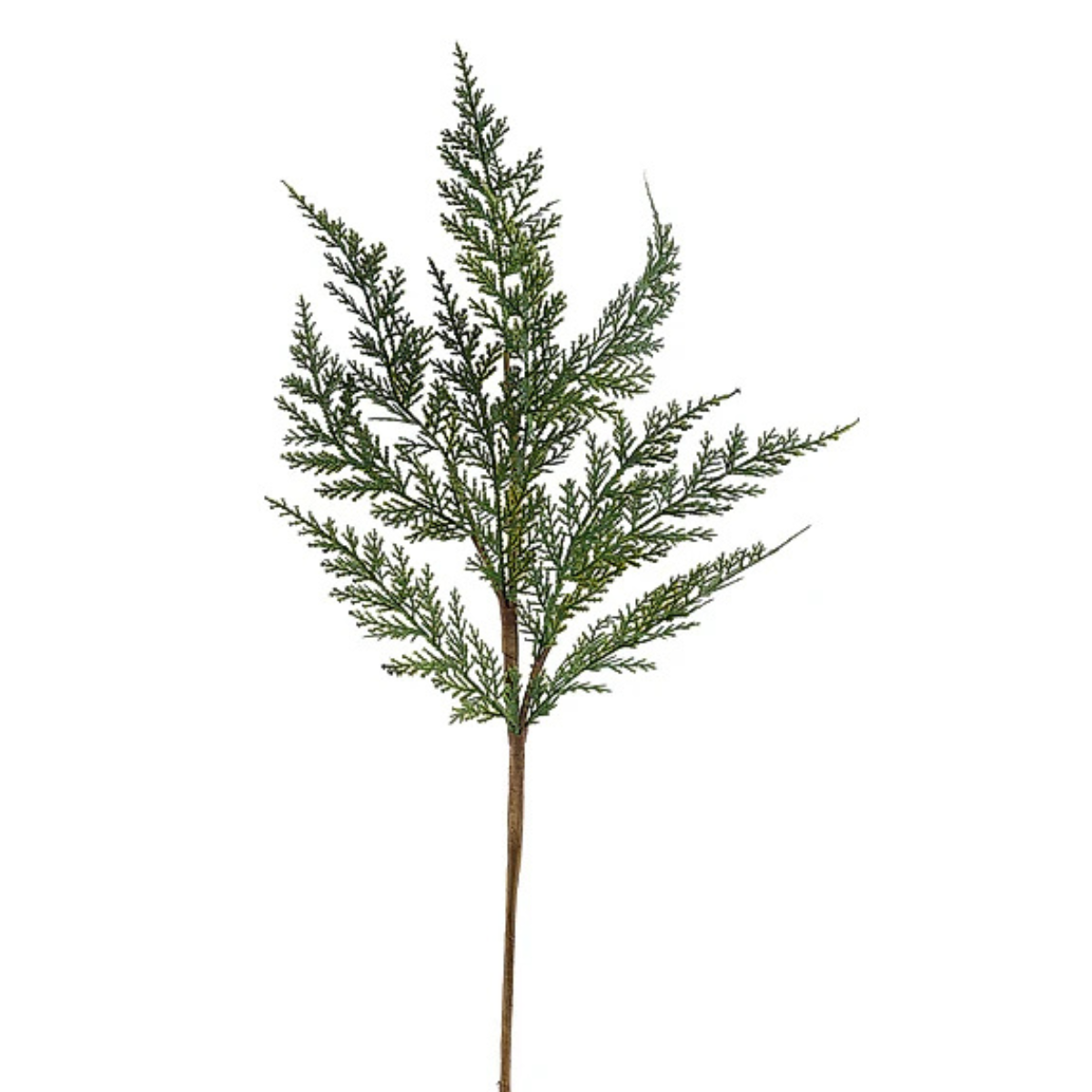 Arborvitae Greenery Spray | Structured Woodland Stem | 24" Spray-XX9434 Craig Bachman