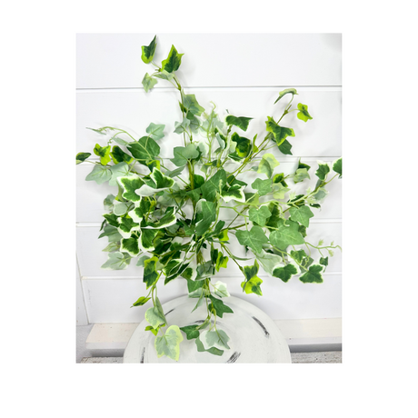 8" Artificial Green/Cream Cottage Ivy Bush- Greenery Accent for Decor - Perfect for DIY Arrangements and Centerpieces-(PM3024-GC) Select Artificials
