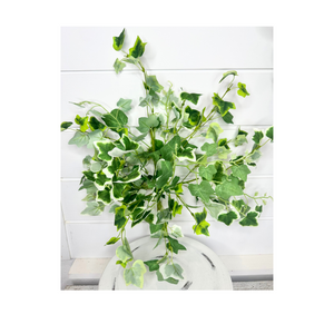 8" Artificial Green/Cream Cottage Ivy Bush- Greenery Accent for Decor - Perfect for DIY Arrangements and Centerpieces-(PM3024-GC)