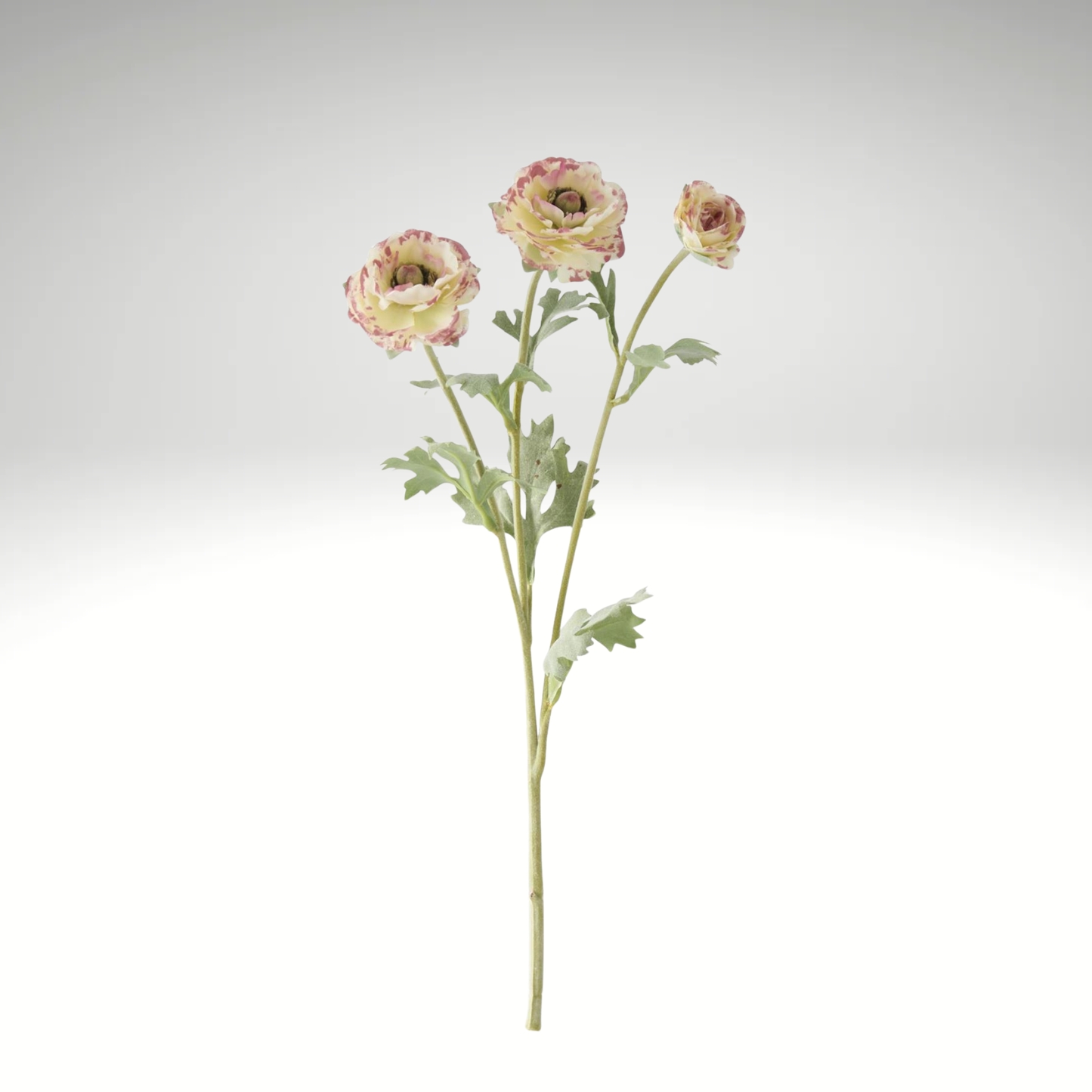 Artificial Pink Ranunculus Stem 18 Inch Faux Flower-18803C-WHPK K & K Interiors
