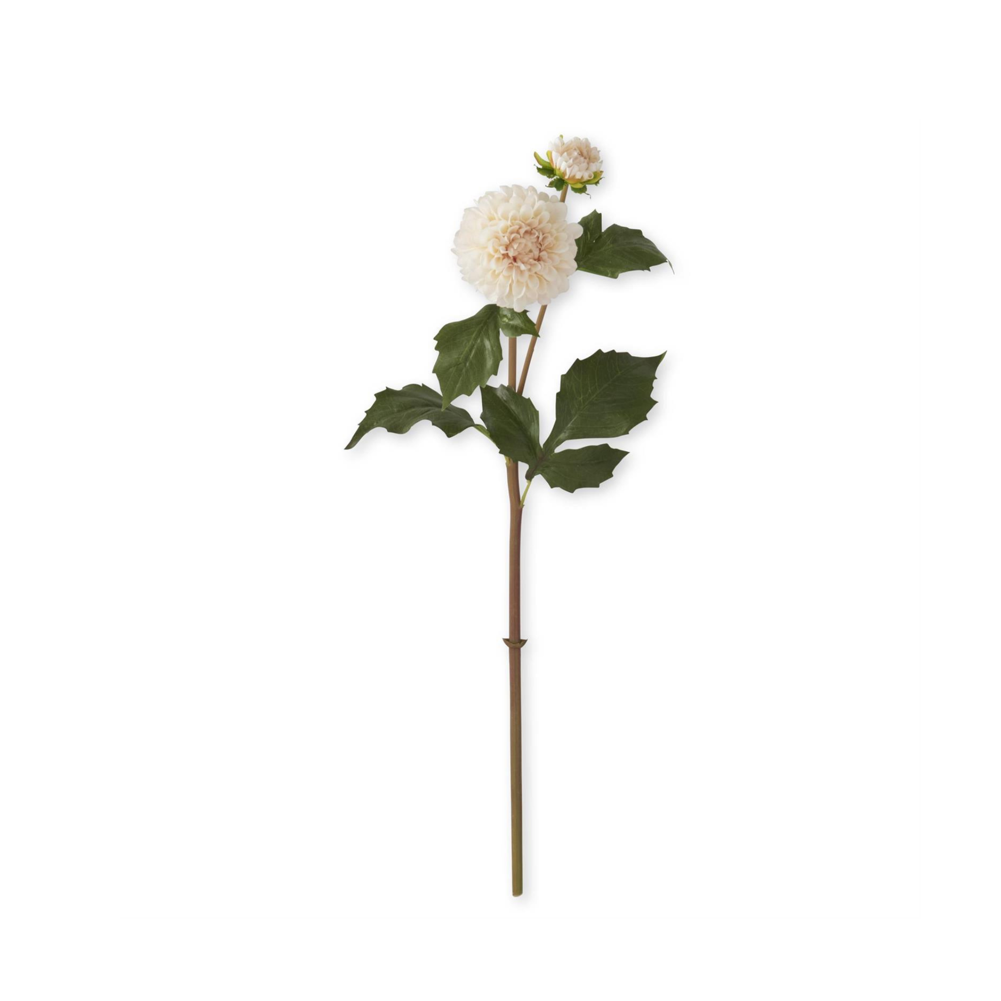 Cream Dahlia Stem Real Touch 20 Inch Faux Flower-17277A-CR K & K Interiors