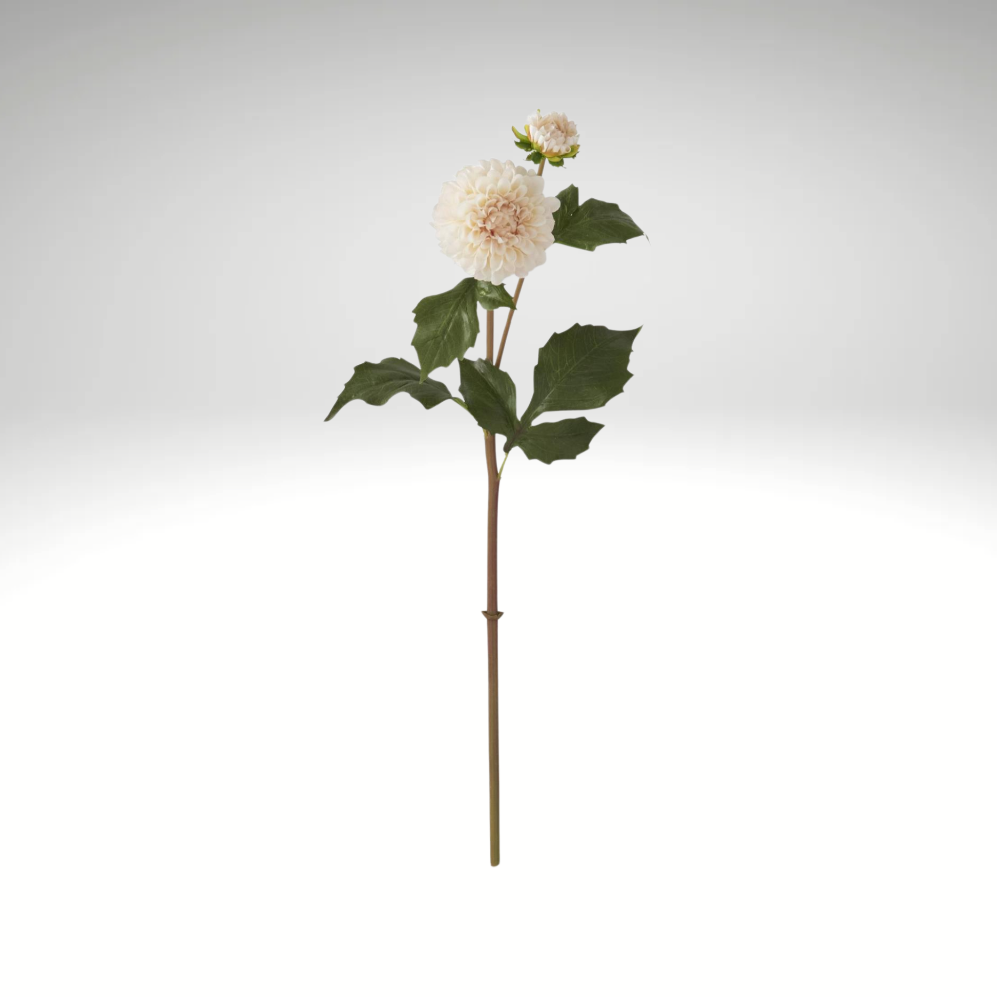 Cream Dahlia Stem Real Touch 20 Inch Faux Flower-17277A-CR K & K Interiors
