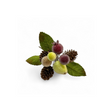 Beaded Fruit & Pinecone Pick – 8" Williamsburg Christmas Holiday Stem-MTX63316 Regency