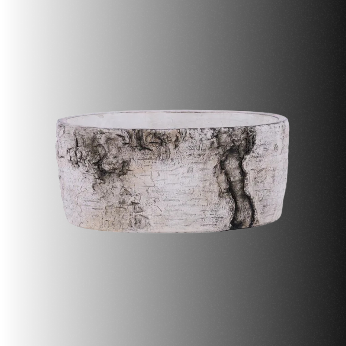 White Birch Oval Planter 9 Inch Rustic Container-MX031735 Craig Bachman