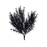 Black Glitter Rosemary Bush 13" | Holiday Floral Pick for Glam Decor-XX970402 Craig Bachman