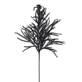 36" Black Norfolk Pine Spray-XV772702 Craig Bachman