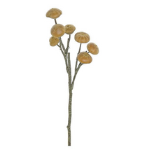 Load image into Gallery viewer, 15&#39;&#39; Brown Ling Pod Spray - Natural Rustic Faux Floral Accent-S1340-BN