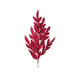 Burgundy Glitter Bay Leaf Spray 32 Inch Holiday Stem-XS235305 Craig Bachman