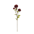 26" Burgundy Ranunculus Spray for Fall Floral Arrangements-5934-BU Select Artificials