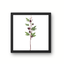 Load image into Gallery viewer, 32&quot; Artificial Burgundy Roselle Spray | Faux Floral Stem for Arrangements