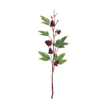 Load image into Gallery viewer, 32&quot; Artificial Burgundy Roselle Spray | Faux Floral Stem for Arrangements