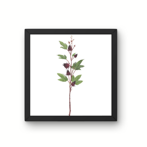 32" Artificial Burgundy Roselle Spray | Faux Floral Stem for Arrangements