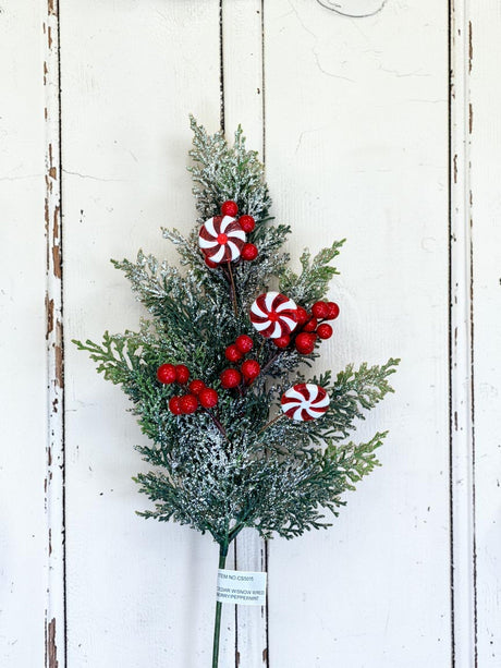 21.5 Inch Snowy Cedar Peppermint Spray with Red Berries for Christmas Decor-CS5015 Sims Pottery
