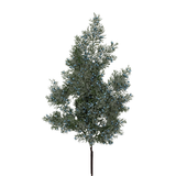 32" Frosted Cedar Spray with Blue Berries-85775-BL Golden Bell
