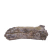 Driftwood Cement Planter 13 Inch Rustic Container-MX027631 Craig Bachman
