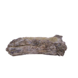 Driftwood Cement Planter 13 Inch Rustic Container-MX027631 Craig Bachman
