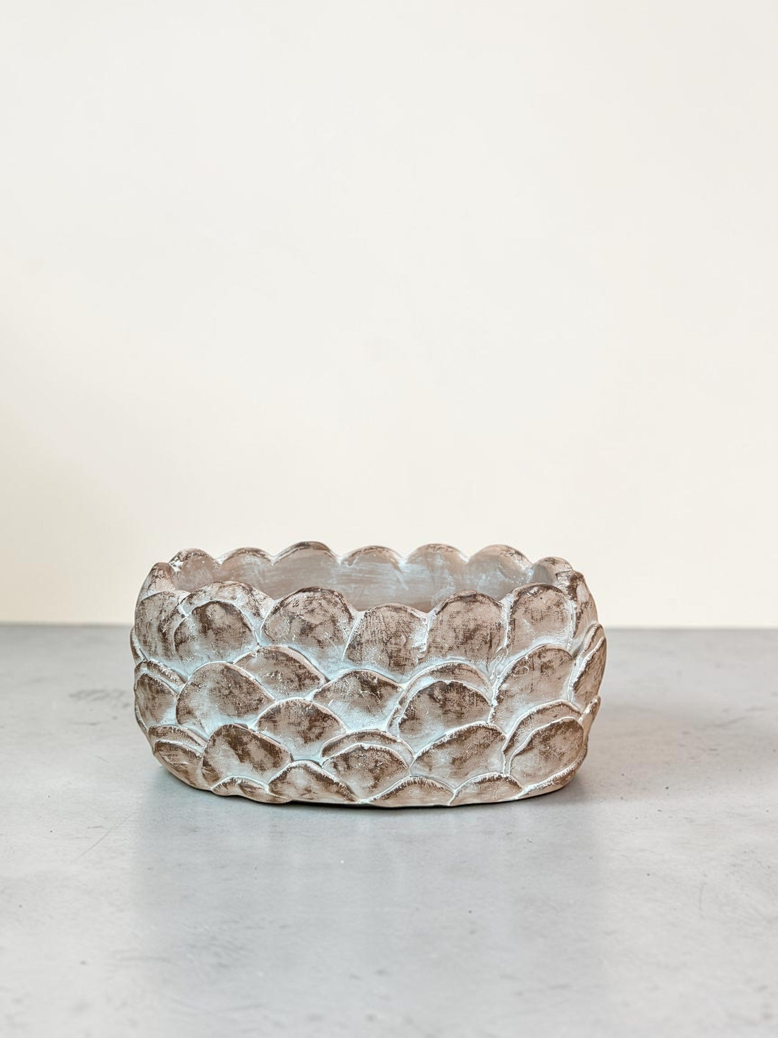 Cement Pinecone Planter 8.5 Inch Rustic Container-MX1256 Craig Bachman