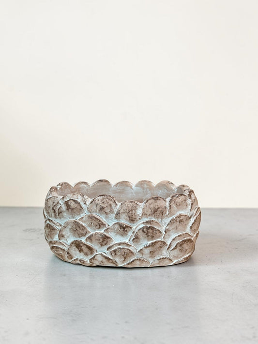 Cement Pinecone Planter 8.5 Inch Rustic Container-MX1256 Craig Bachman