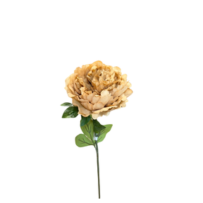 Artificial Cream Peony Stem — 28 Inch Antique Ivory Floral Stem for Arrangements and Vase Styling-42755A-CR K & K Interiors