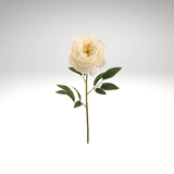 Cream Artificial Peony Spray-FSP829-CR