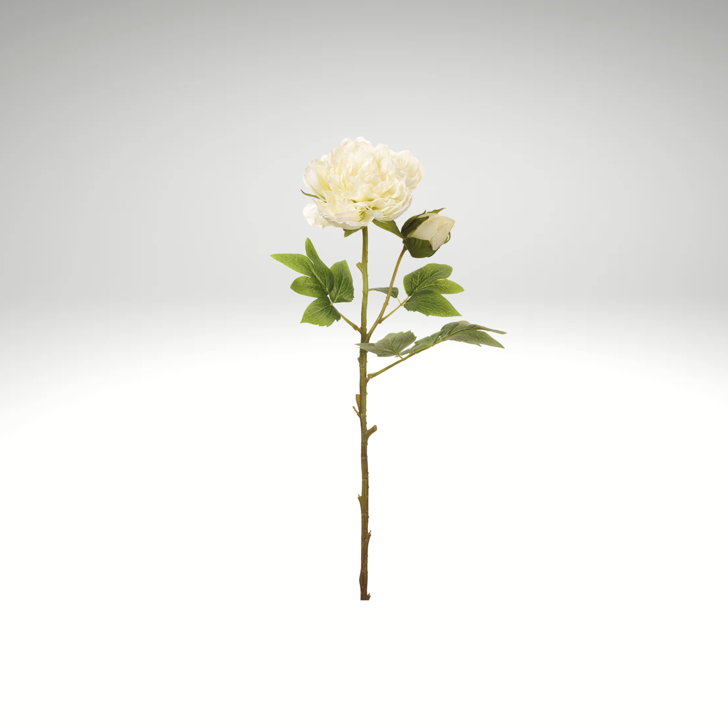 Cream Artificial Peony Spray-FSP881-CR