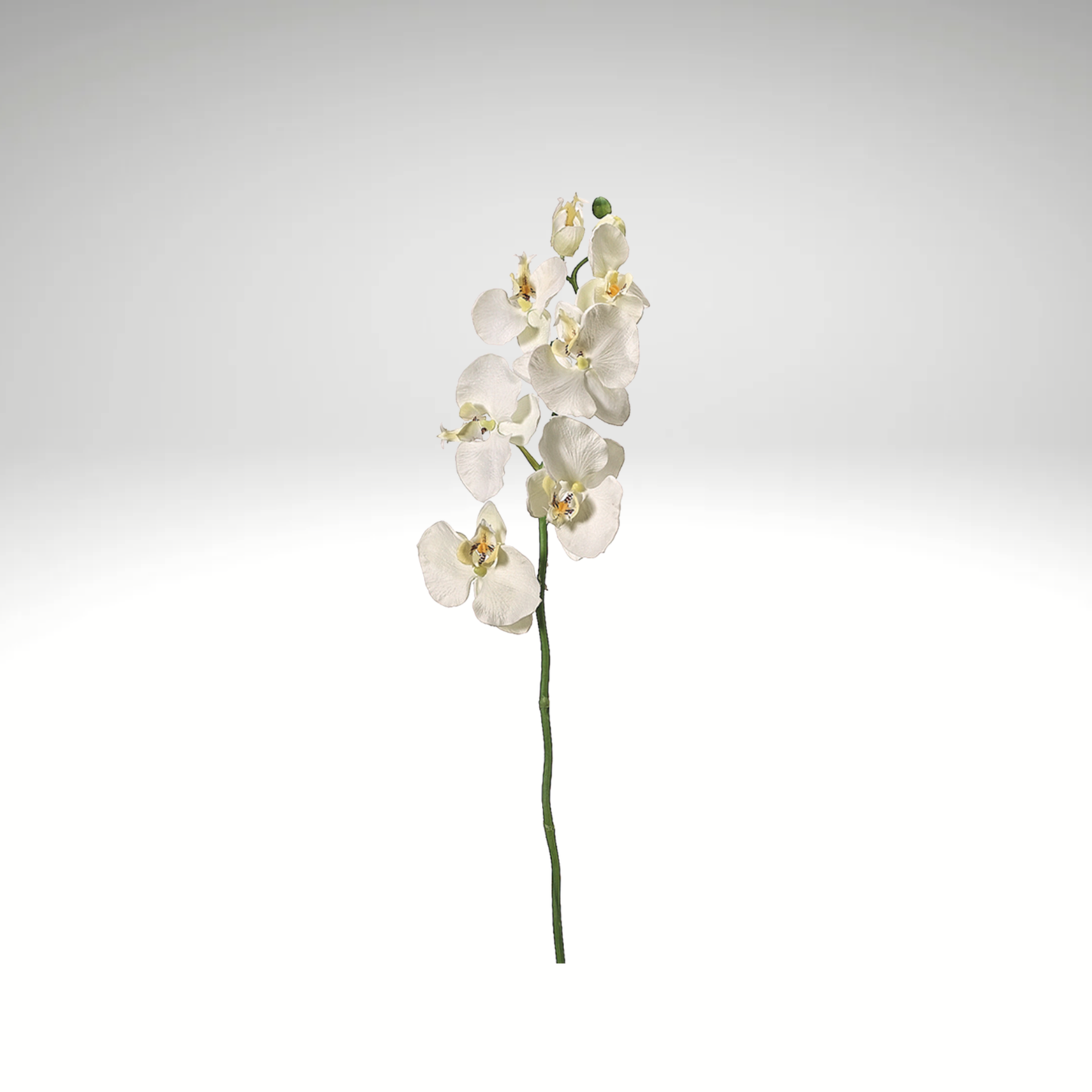 Cream Artificial Phalaenopsis Orchid Spray-FSO006-CR