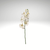 Cream Artificial Phalaenopsis Orchid Spray-FSO006-CR