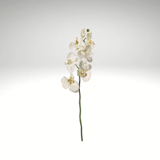 Cream Artificial Phalaenopsis Orchid Spray-FSO006-CR