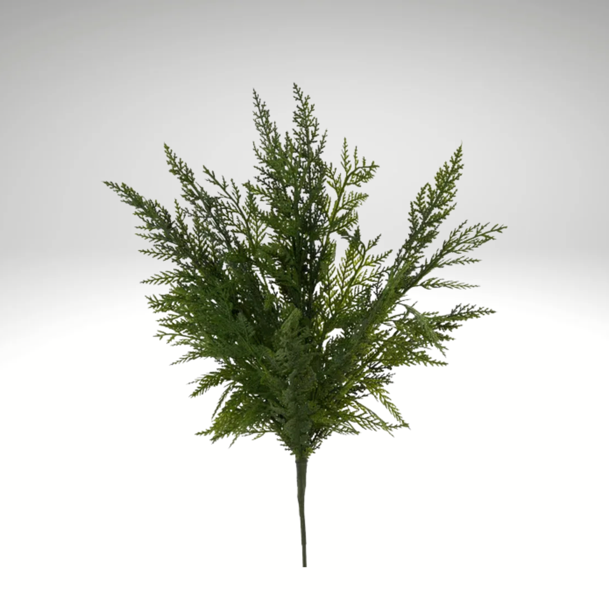 UV Protected Cypress Bush 24 Inch Outdoor Artificial Greenery-XV7718 Craig Bachman