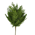 Cypress Norfolk Pine Bush | Woodlands Christmas Greenery | 22" Bush-85951 Golden Bell