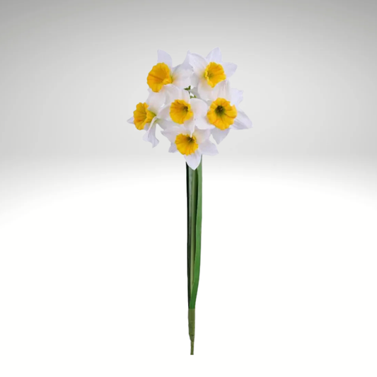 Artificial Daffodil Spray White Yellow 18 Inch-FS381458