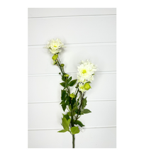 Load image into Gallery viewer, 23&quot; Artificial Aster Daisy Spray in White - Lifelike Floral Decor - Artificial Flowers for Arrangements  (5672-W)