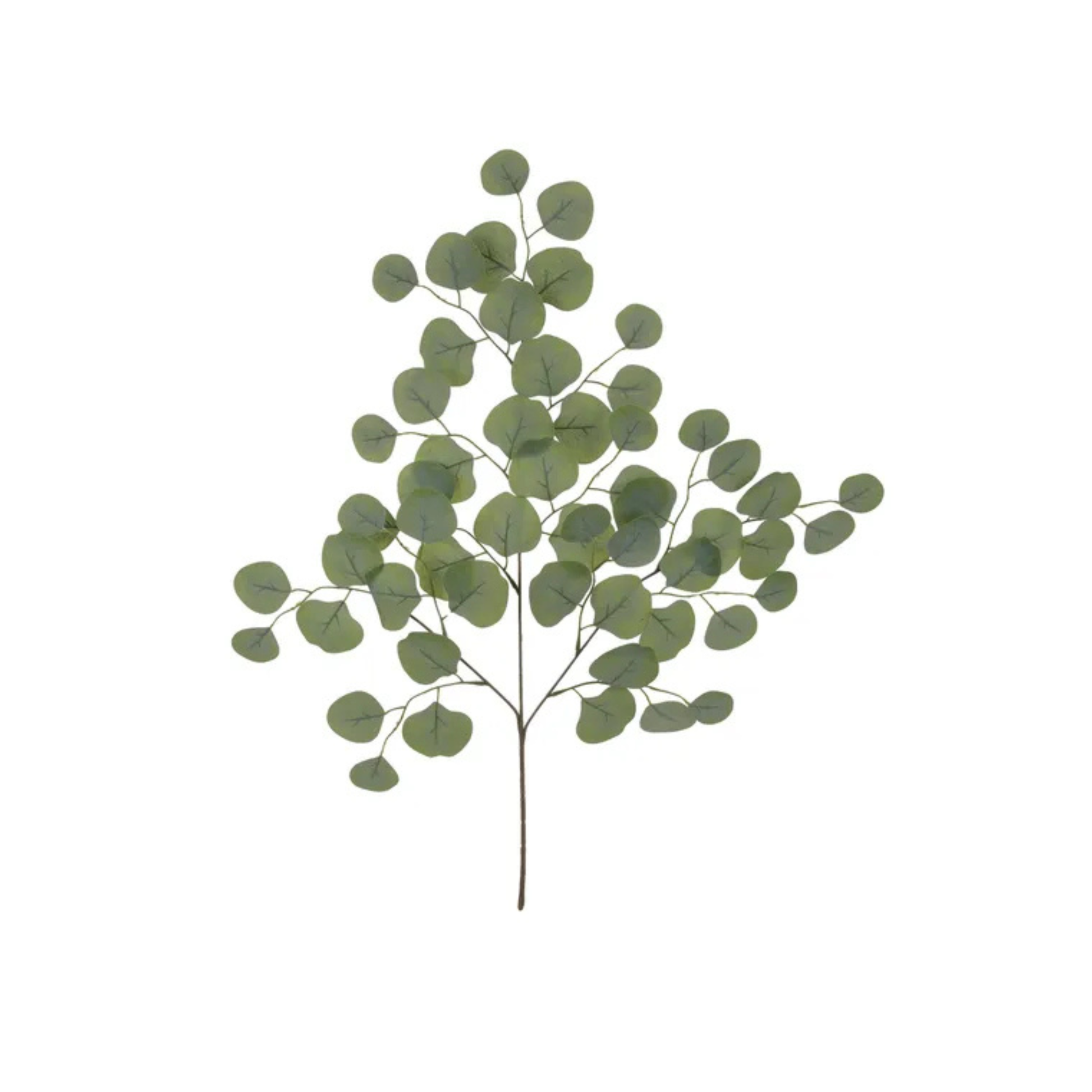 26" Artificial Eucalyptus Spray for Floral Arrangements-FP1045 Craig Bachman