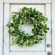 30" Artificial Geranium Aralia Wreath | Lifelike Greenery for Door & Wall Decor Allstate Floral