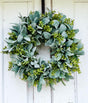 Everyday Lambs Ear Front Door Wreath-TCT1622 TCT Crafts