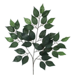 Artificial Green Ficus Spray 23 Inch – Faux Greenery Stem for Wreaths & Arrangements Craig Bachman