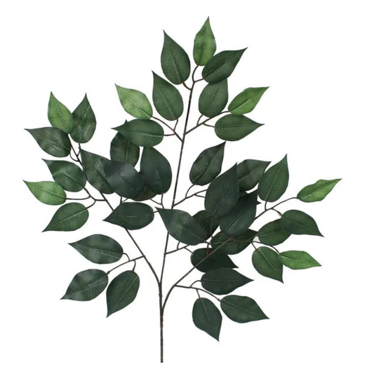 Artificial Green Ficus Spray 23 Inch – Faux Greenery Stem for Wreaths & Arrangements Craig Bachman
