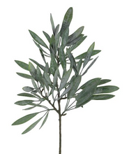 Load image into Gallery viewer, 23&quot; Plastic Eucalyptus Spray | Weatherproof Faux Greenery for Outdoor &amp; Indoor Decor (FG5978)